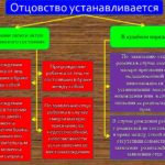 Как устанавливается происхождение ребенка