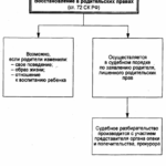 Как восстановить родительские права после лишения
