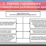 Процедура лишения отца родительских прав